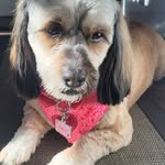 Sylvia Hendrickson - @hendricksonsylvia - Instagram