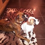 Sylvia Hermann - @sylvia19780403 - Instagram