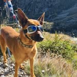 Hofer Sylvia - @sylviahofer71 - Instagram