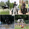 Silvia.Hofer🇩🇪🐴 - @silvia_ultima - TikTok