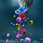 Sylvia Hofer - Facebook