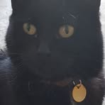 Sylvia Holmes - Facebook