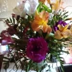 Sylvia Hurst - @sylviahurst66 - Instagram