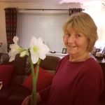 Sylvia Hurst - @sylvia.hurst - Instagram