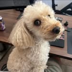 Sylvia Hurst - @sylhurst - Instagram