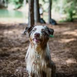 sylvia - @sylviairby125 - Instagram