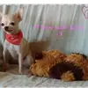 Sylvia Jahn - @sylvia.jahn8 - TikTok
