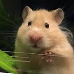 Sylvia - @sylvia_jefferson - Instagram