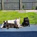 Sylvia Johnston - Facebook
