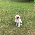 Sylvia Johnston - Facebook