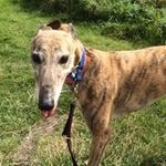 Sylvia Johnston - @sylviajohnston4620 - Instagram