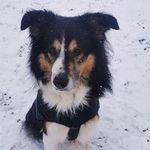 Sylvia Kaiser - @sylvia.scr1899 - Instagram