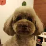 Sylvia Kan - @2172090042 - TikTok