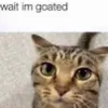 Sylvia.Keith - @at8piovbuyy - TikTok