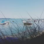 Sylvia Keller Greitmann - @sylviakellergreitmann - Instagram