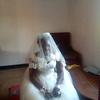 user3144441903248 - @sylviakeller81 - TikTok