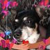 Sylvia Kimble - Facebook