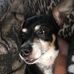 Sylvia Kimble - Facebook