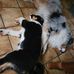 Sylvia Klein - Facebook