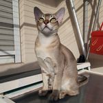 Sylvia Klein - @skleinidaroberstein - Instagram