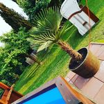 Sylvia Klinger - @redcaddy258 - Instagram
