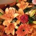Sylvia Knott - Facebook