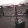 Sylvia Knott  - @sylvia.knott - TikTok