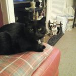 Sylvia Knowles - @nannyknowles68_ - Instagram
