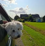 Sylvia Kroon - Facebook