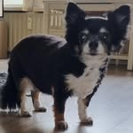 Sylvia Kramer - @sylvia.kramer.509 - Instagram