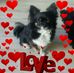 Sylvia Kramer - Facebook
