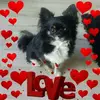 Sylvia Kramer - @sylvia.kramer2 - TikTok