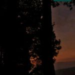 Sylvia Lambert - @ilhamaditya657 - Instagram