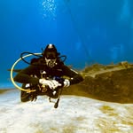 Sylvia Lambert - @sylscuba - Instagram