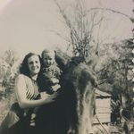 Sylvia Lambert - @tuttie71 - Instagram