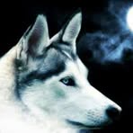 Sylvia Lambright - Facebook