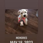 Mary Lanier Chitwood - @sylvia_lanier - Instagram