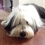 Sylvia Larson - @baylor_mom - Instagram