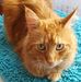 Sylvia Lehmann - Facebook