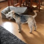 Sylvia Lehmann - @lehmann6806 - Instagram