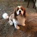 Sylvia Leibowitz - Facebook