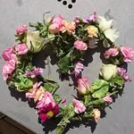 Sylvia Lind - @sylviamlind - Instagram