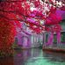 Sylvia Lindsey - Facebook
