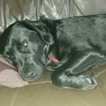Sylvia Logan - @sjlogan66 - Instagram