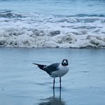 Sylvia Logan - @sylvia.logan.12 - Instagram
