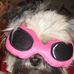 Sylvia Luft - Facebook