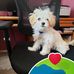 Sylvia Luque - Facebook