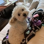Sylvia Mackey Mann - @sylviamackeymann - Instagram