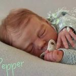 Sylvia Manning - @thistleberry_silicone_babies - Instagram
