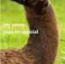 Sylvia Manning - Facebook